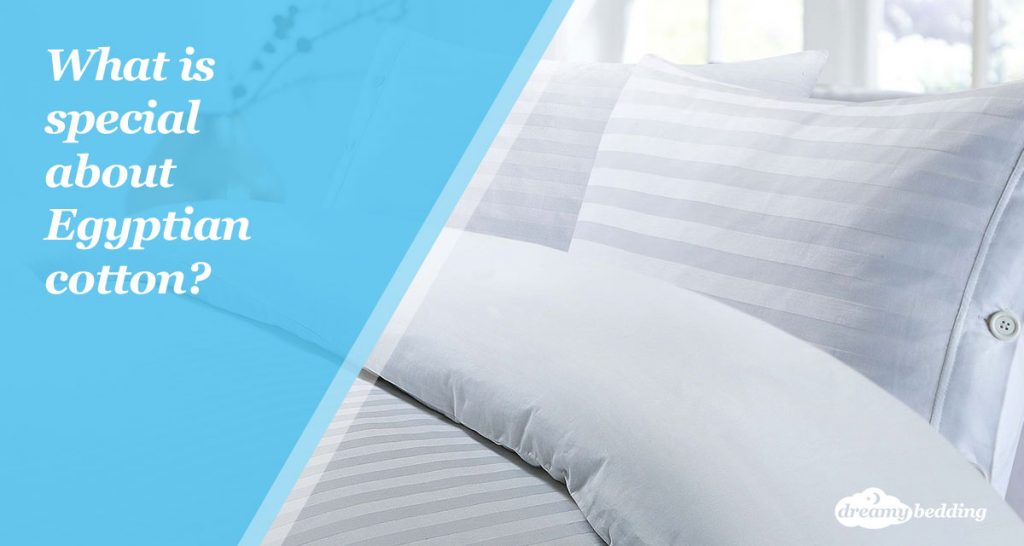 What is special about Egyptian cotton?